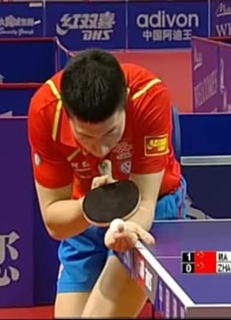 升班马的雄 升班马的雄